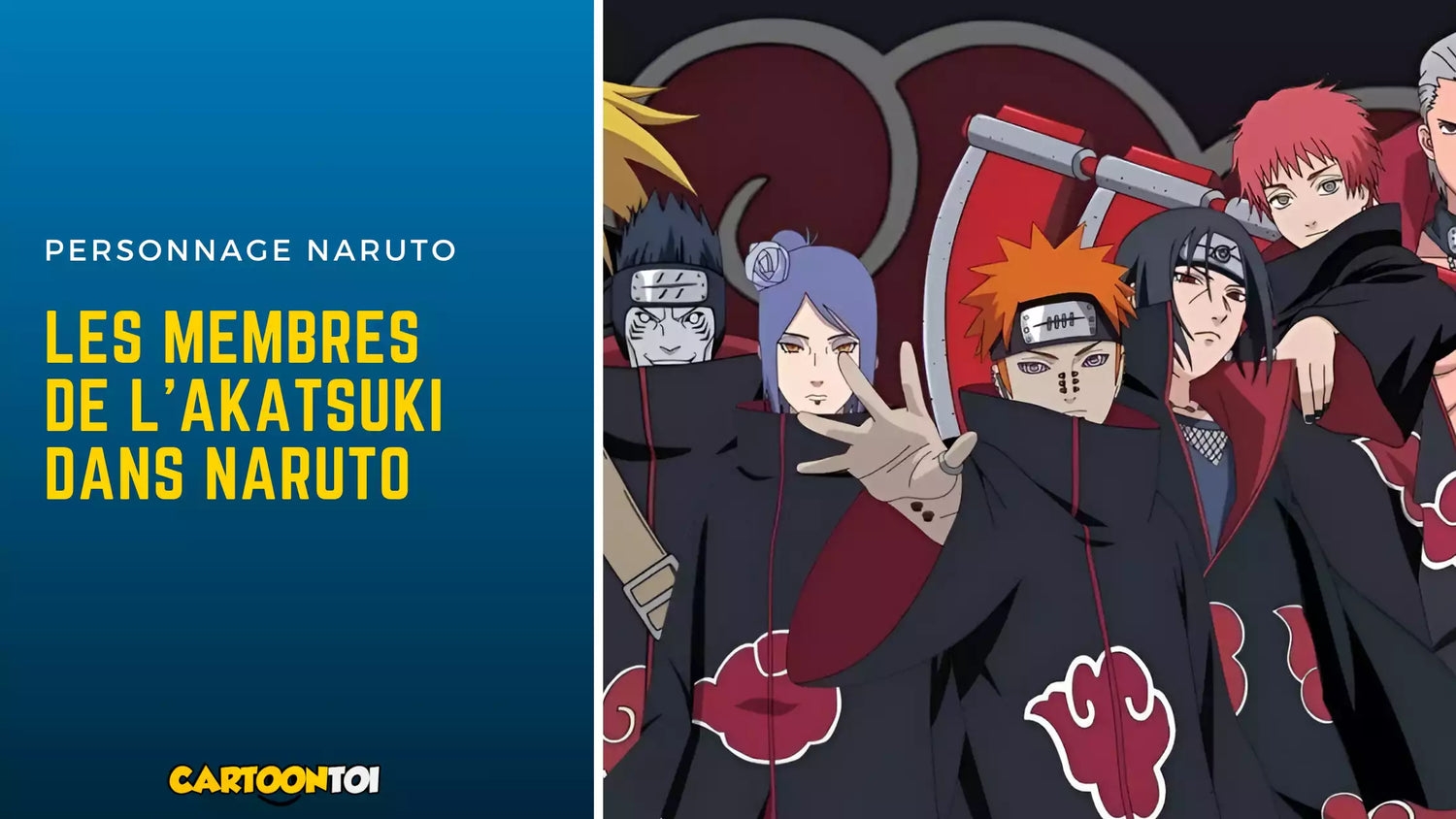 les membres de l’akatsuki dans naruto