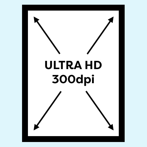 Tu Retrato en Gran Formato